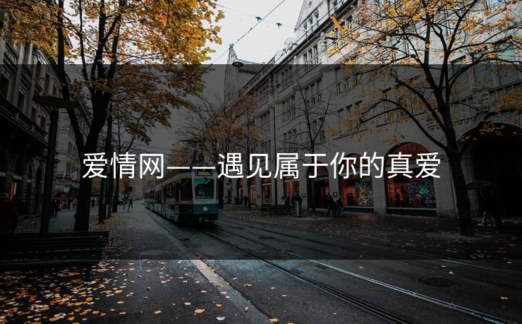 爱情网——遇见属于你的真爱