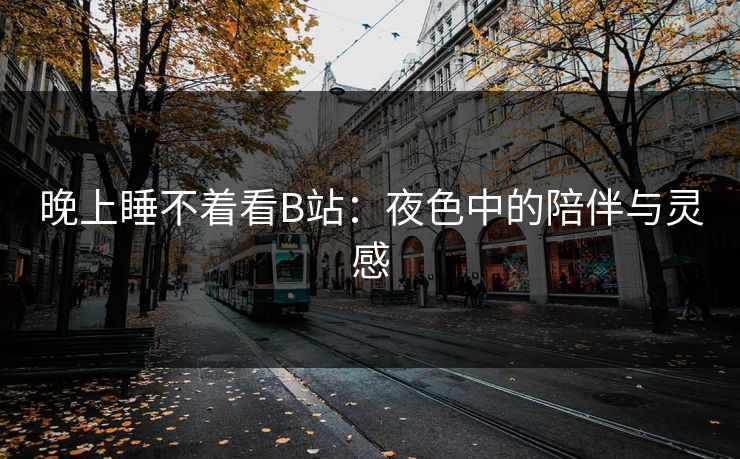 晚上睡不着看B站：夜色中的陪伴与灵感